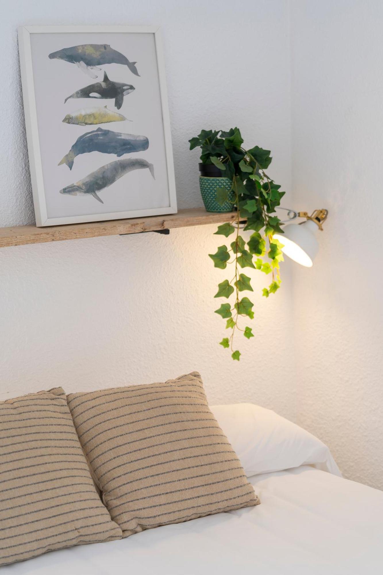 Apartamentos Casa Marea Calella Palafrugell Con Parking 칼레냐 데 팔라푸르헬 외부 사진